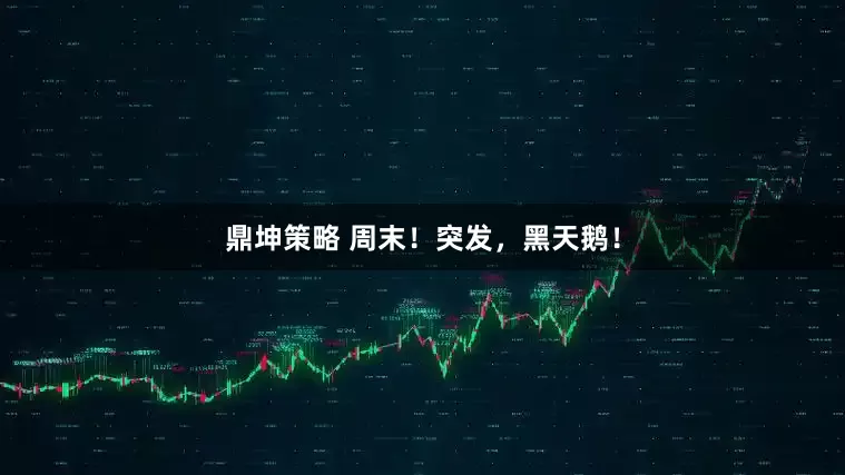 鼎坤策略 周末！突发，黑天鹅！