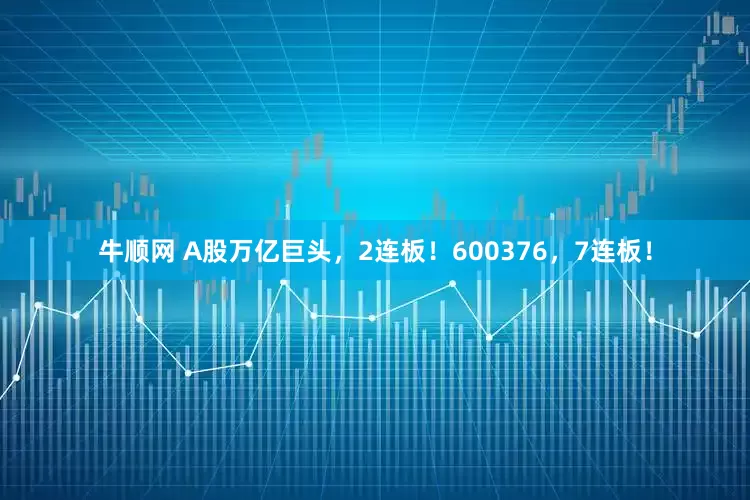 牛顺网 A股万亿巨头，2连板！600376，7连板！